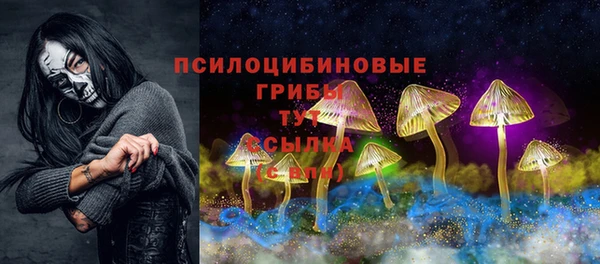 МДПВ Новокубанск
