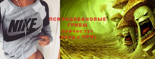 МДПВ Новокубанск