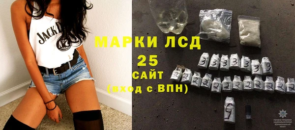 дживик Новозыбков