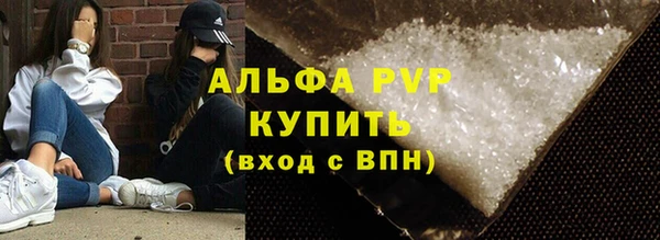 дживик Новозыбков