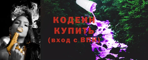 дживик Новозыбков
