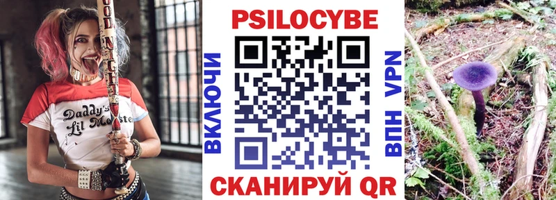 Галлюциногенные грибы Psilocybe  Североморск 