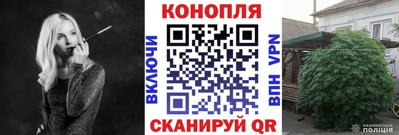 это телеграм Североморск Марихуана Amnesia